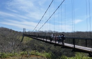 つつじ吊橋